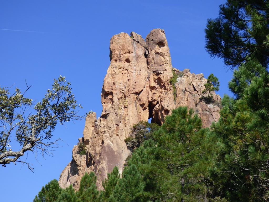 Chambres D'Hotes Vue Mer L'Esterel Panoramique Saint-Jean-de-l'Esterel Eksteriør billede