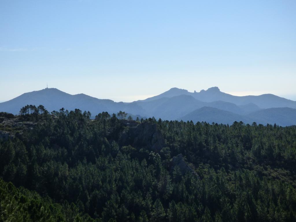 Chambres D'Hotes Vue Mer L'Esterel Panoramique Saint-Jean-de-l'Esterel Eksteriør billede